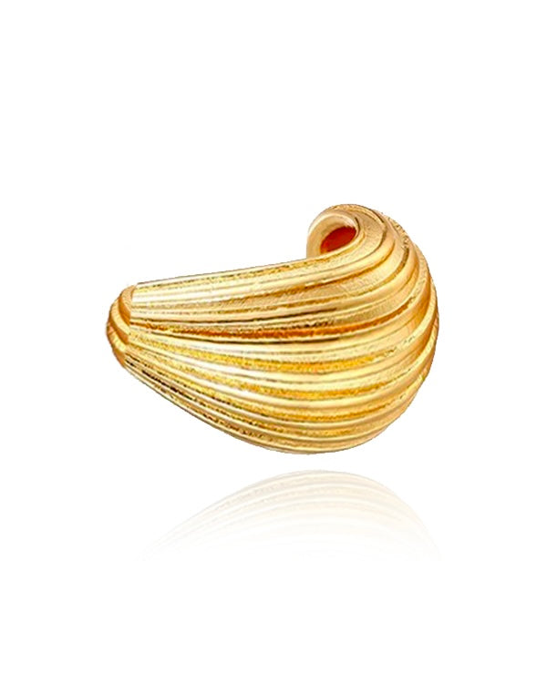 Arlo Ring