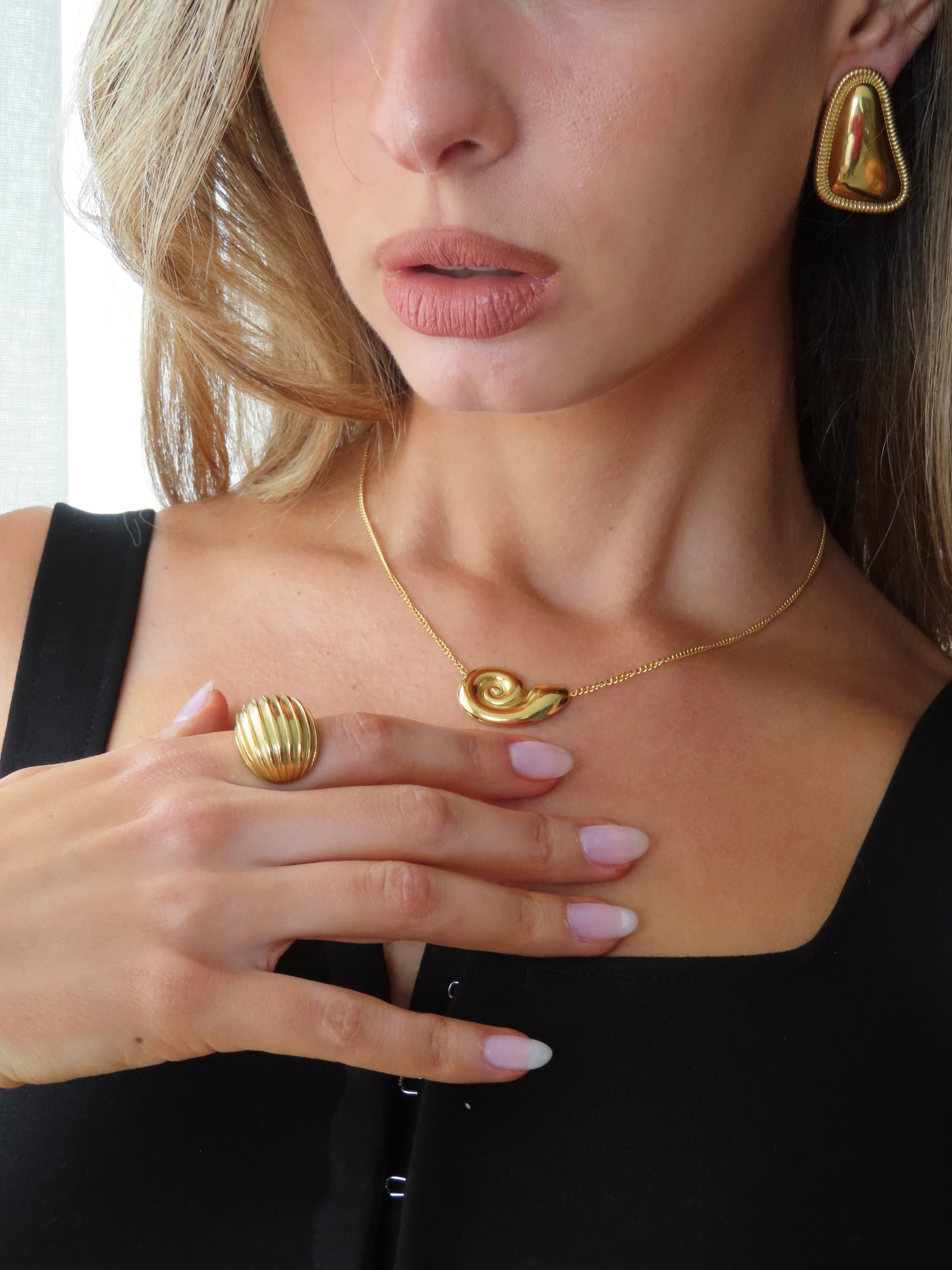 Arlo Ring
