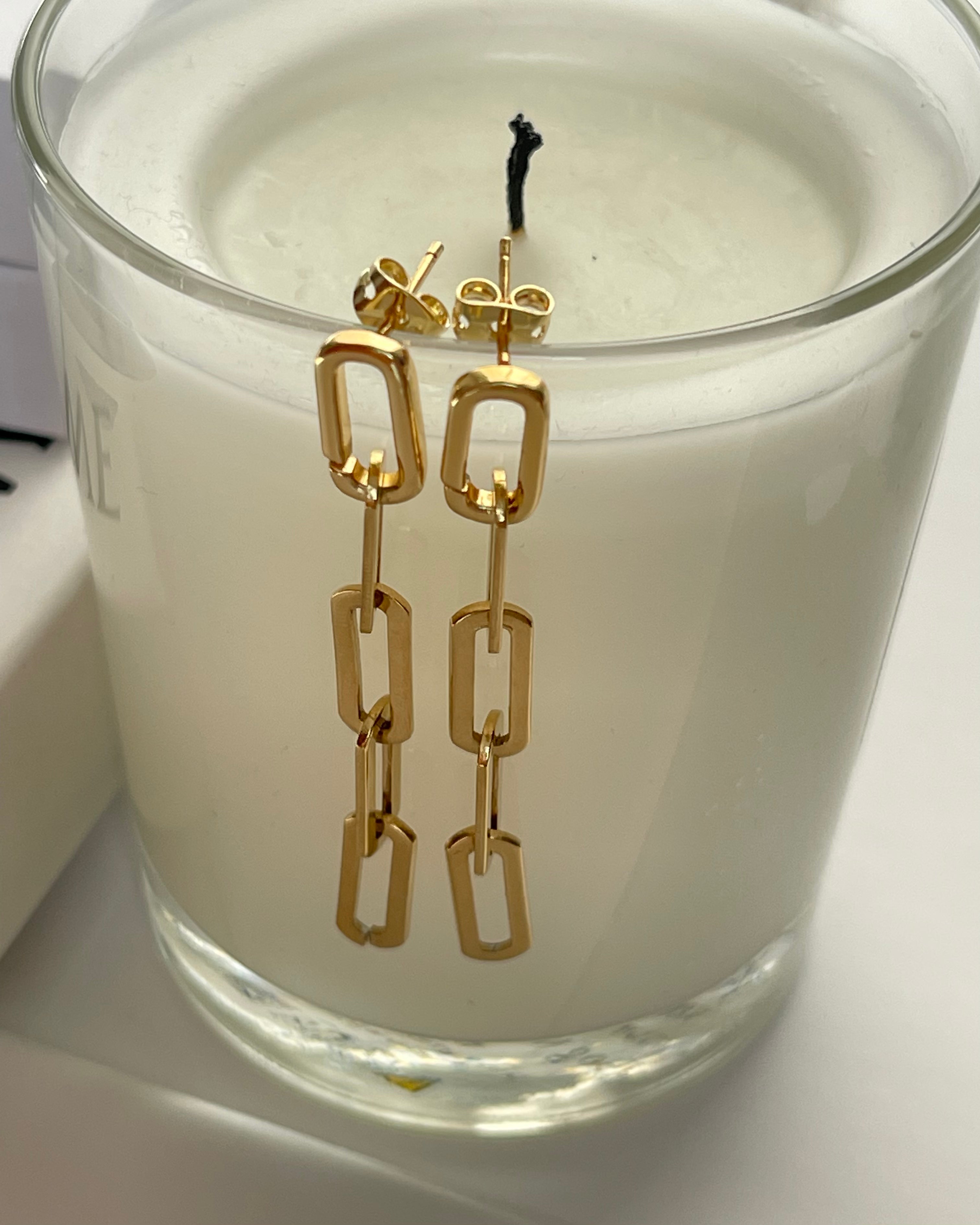 Long Link Earrings