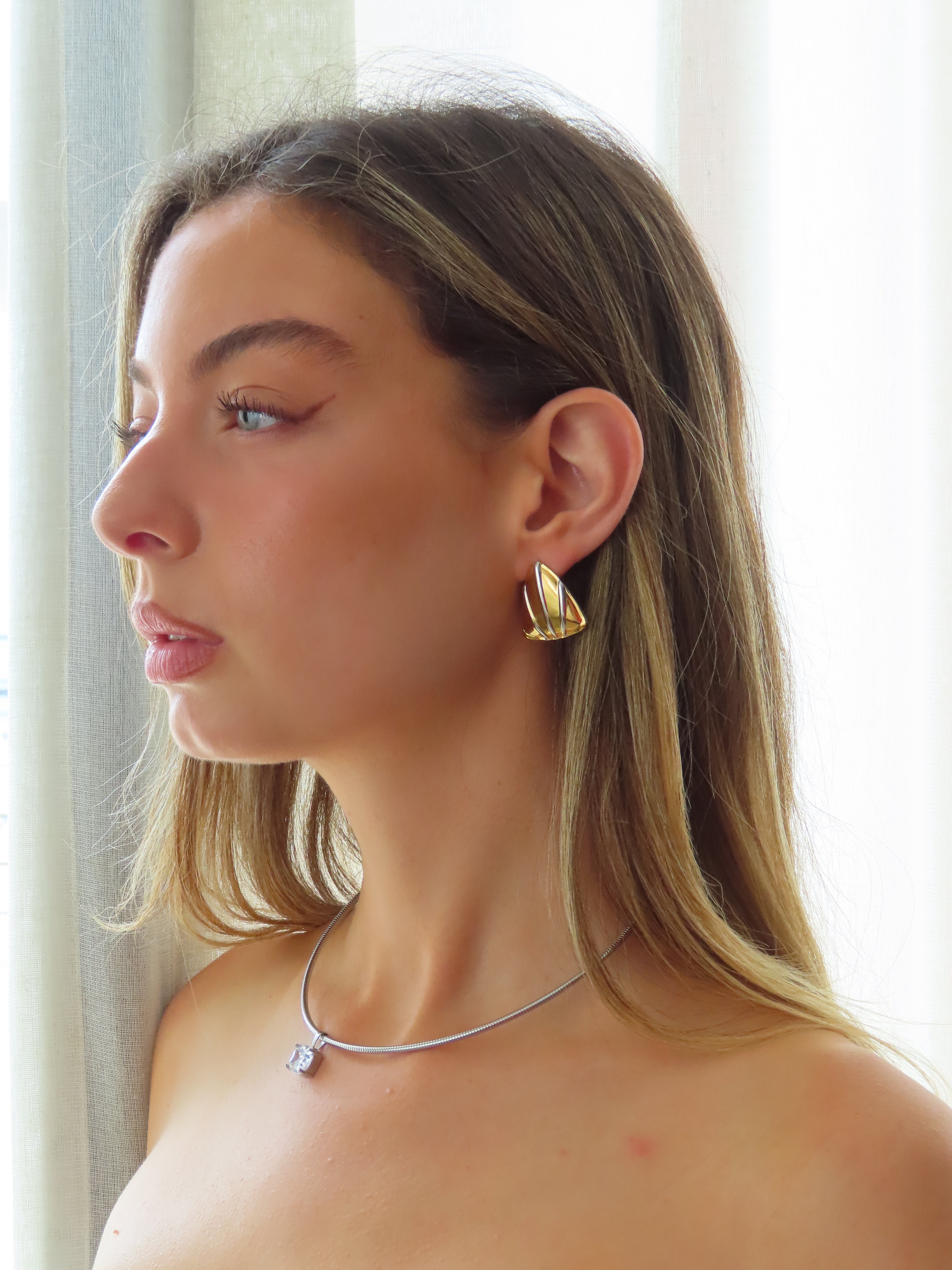 Shield Earrings