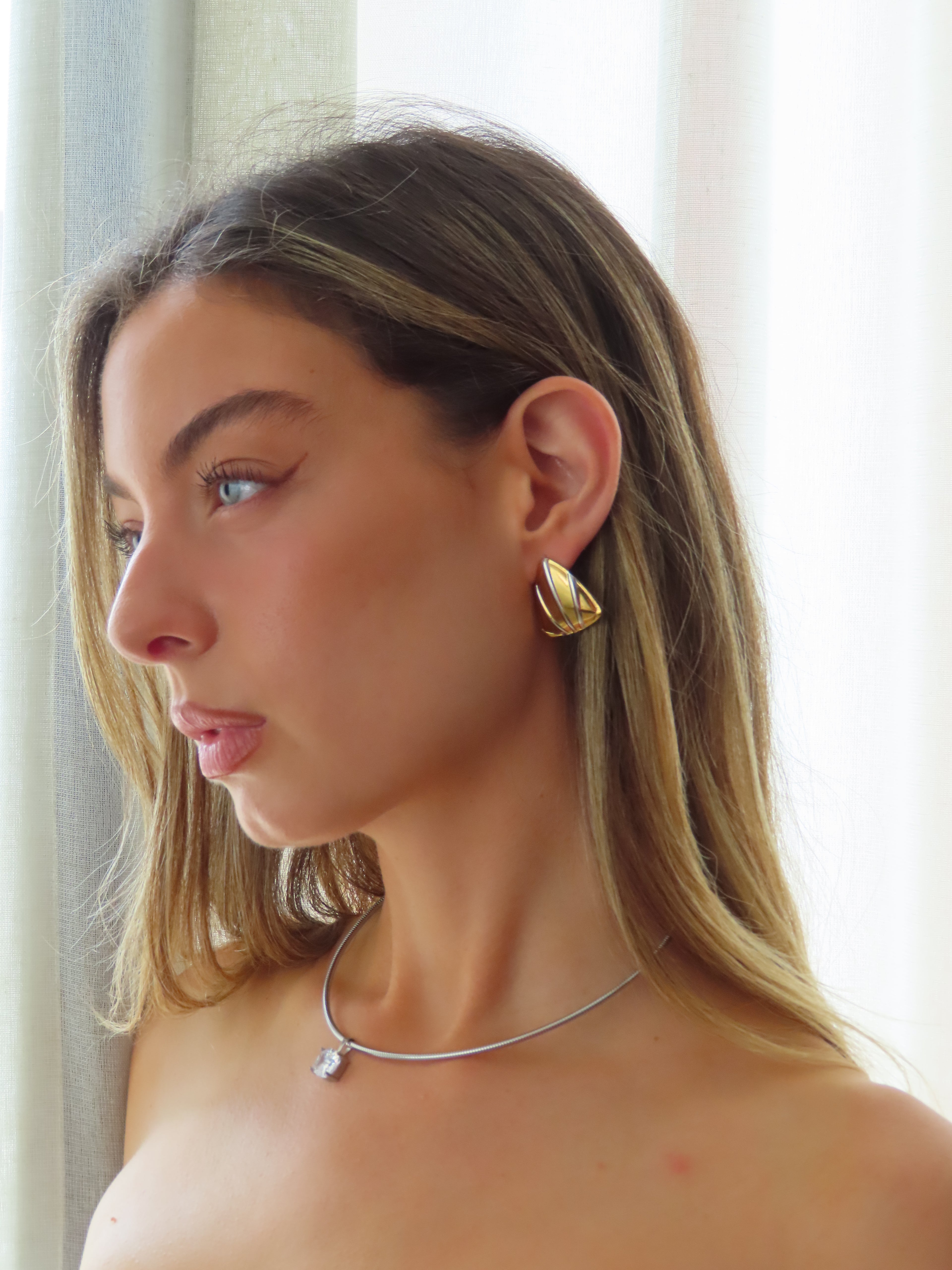 Shield Earrings
