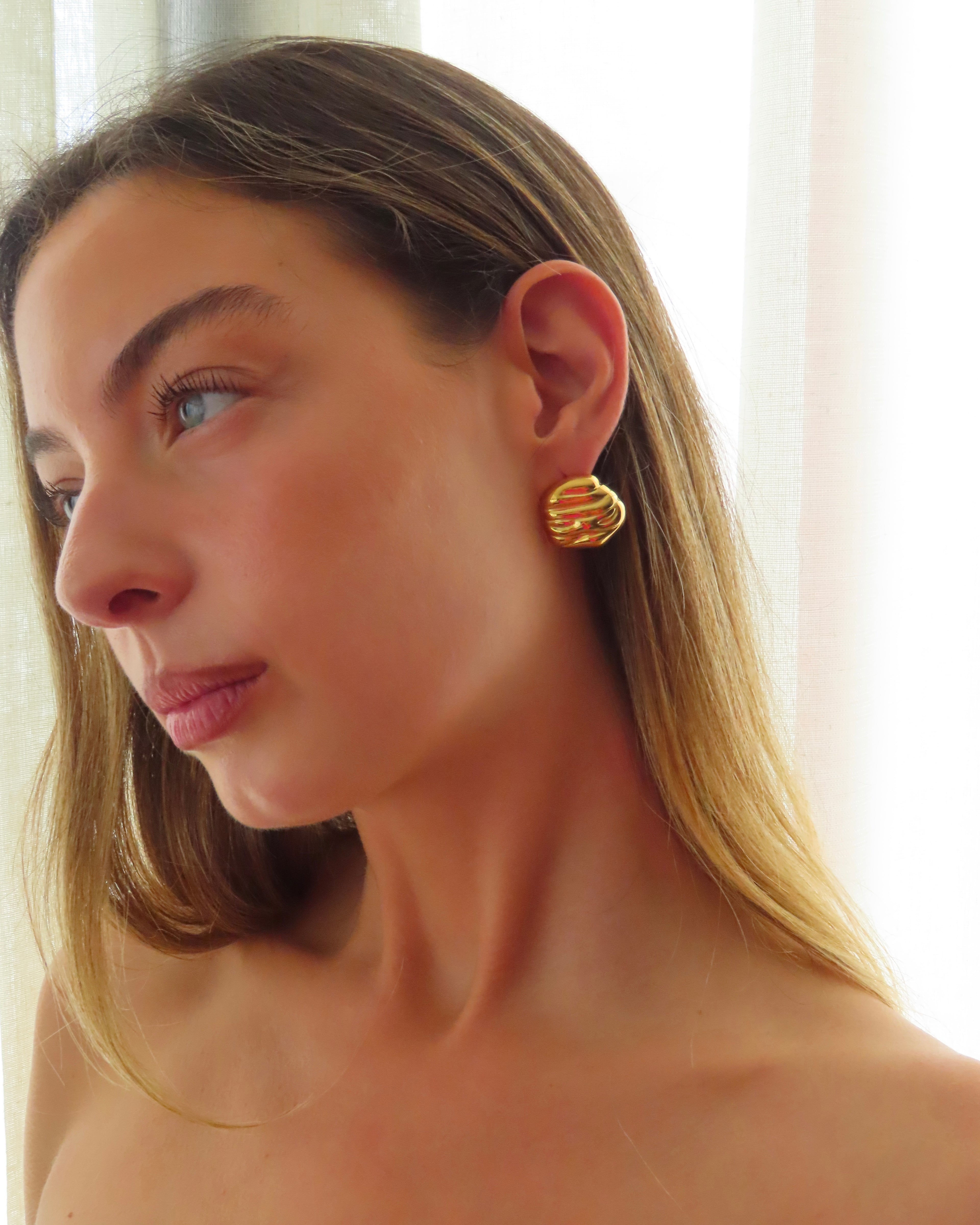 Nautilus Earrings