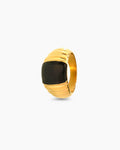 Montage Ring