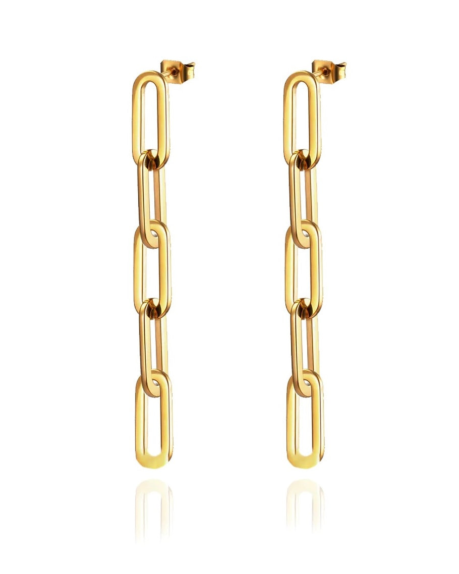 Long Link Earrings
